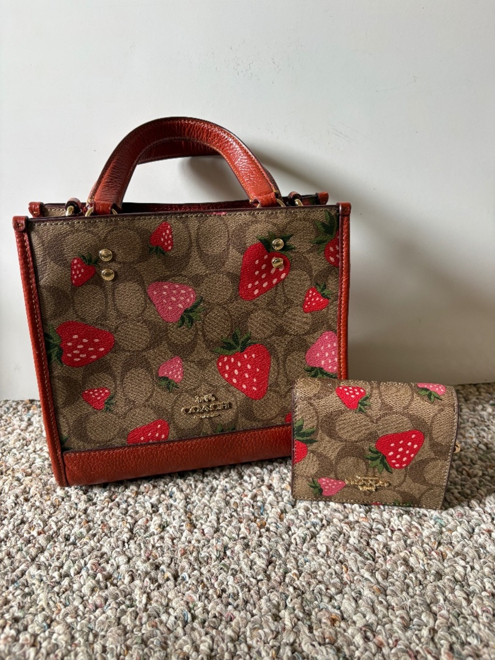 Coach Signature Canvas Bag: Wild Strawberry